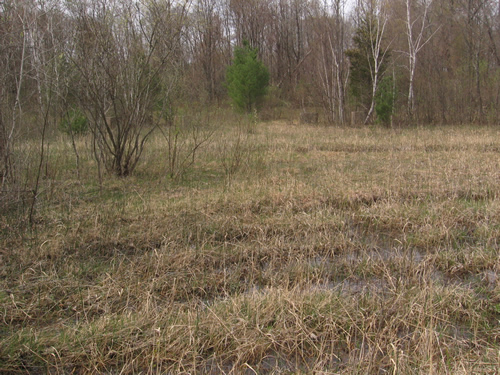 Western Michigan Speedway (West Michigan Speedway) - Spring 2008 From Me (newer photo)